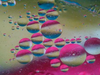 Close-up of multi colored bubbles in water