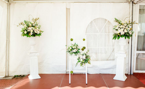 Potted plant on table at home