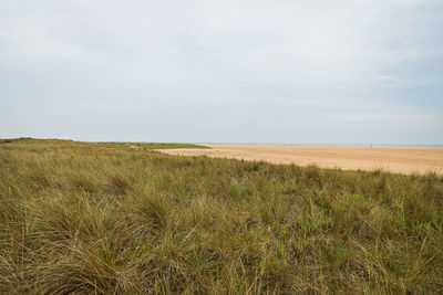 Empty beach along the norfolk coast