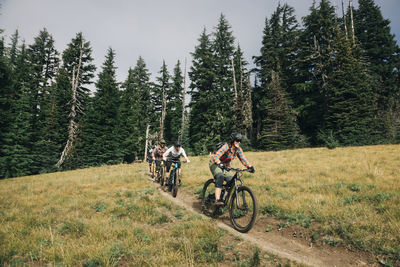Four bikers ride through a meadow at mt. hood, oregon
