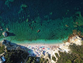 High angle view of swimming underwater