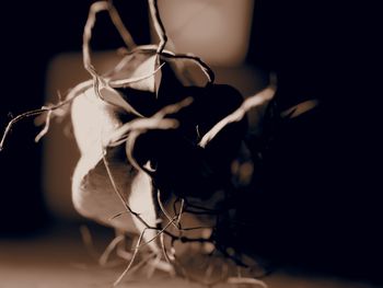 Close up of electric lamp