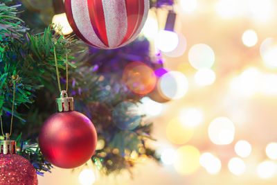 Close-up of illuminated christmas tree