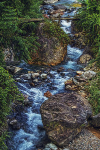 Scenic view of waterfall in forest