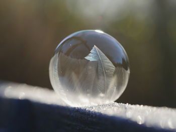 Close-up of frozen bubble