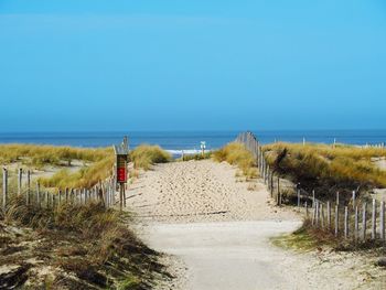 Wooden posts on beach against clear sky