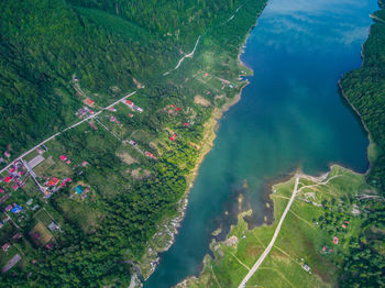 High angle view of trees by sea