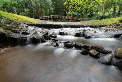 Scenic view of waterfall in forest