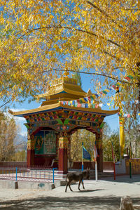 View of multi colored built structure against trees