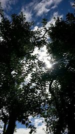 Low angle view of trees against cloudy sky