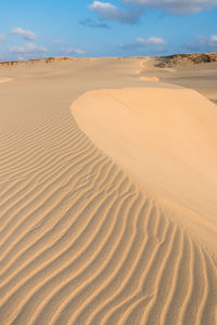 Sand dunes in desert against sky