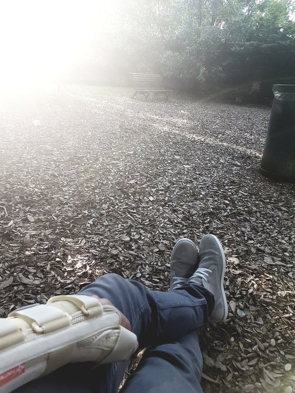 low section, human body part, one person, real people, day, human leg, nature, lifestyles, body part, sunlight, shoe, lying down, leisure activity, high angle view, men, outdoors, land, personal perspective, tree, human foot, human limb