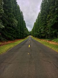 Empty road amidst trees against sky