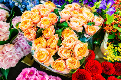 Close-up of pink roses