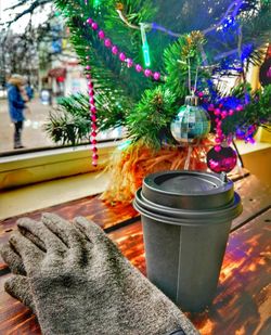 Close-up of christmas tree by potted plant