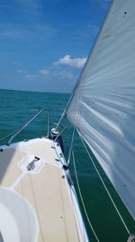 Sailboat sailing in sea against sky