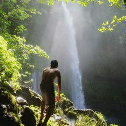 Waterfall in forest