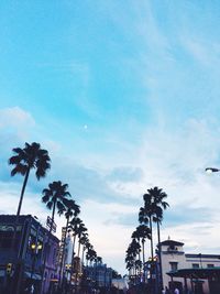 Low angle view of palm trees and buildings against sky