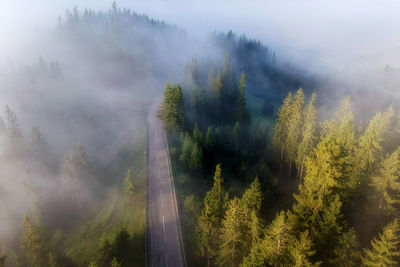 Aerial view of road in forest during foggy weather