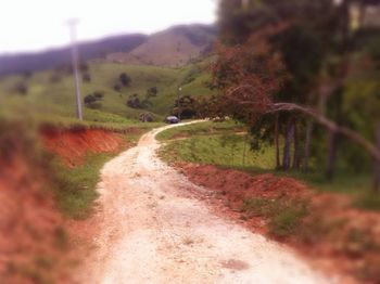 Dirt road passing through field