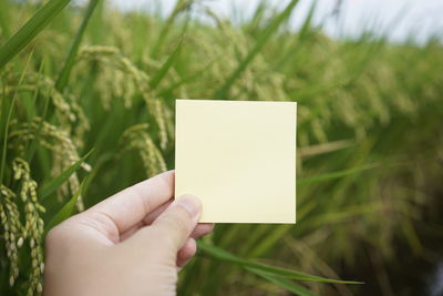Close-up of hand holding yellow paper on field