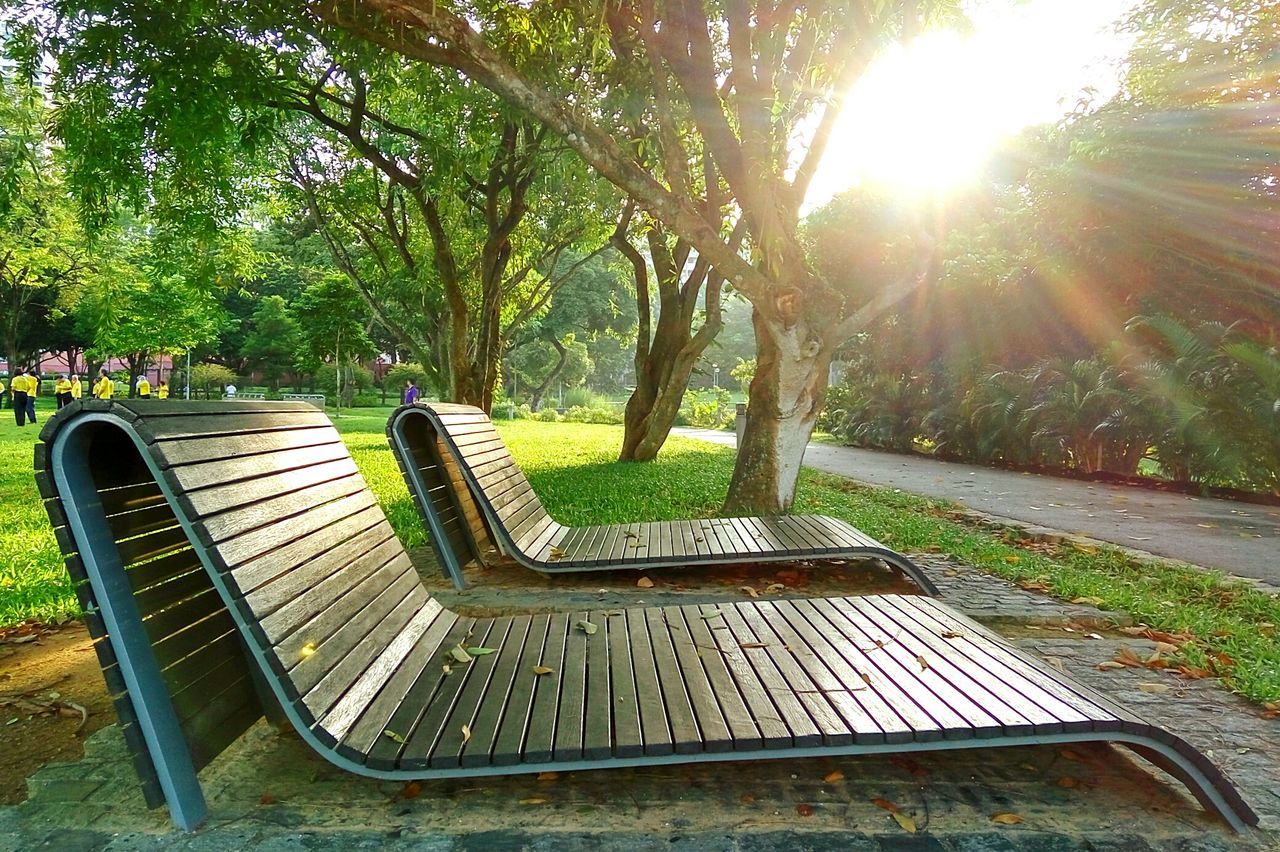tree, bench, sunlight, sun, grass, empty, sunbeam, tranquility, absence, park bench, park - man made space, chair, tranquil scene, growth, nature, seat, shadow, green color, lens flare, sunny