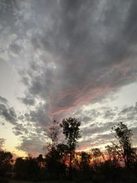 Low angle view of silhouette trees against dramatic sky