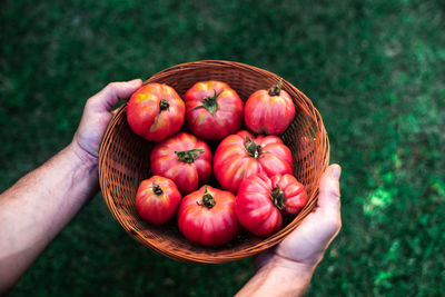 Close-up of hand holding strawberries in basket