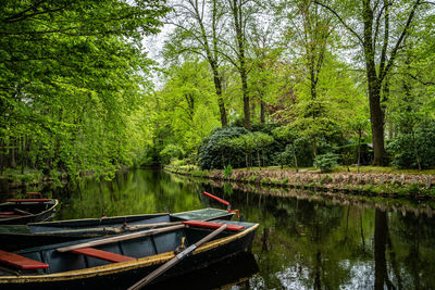 Scenic view of lake in forest