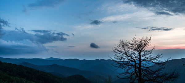 Silhouette bare trees against mountain range