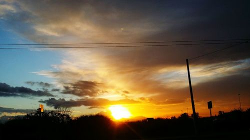 Silhouette of trees at sunset