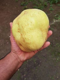 Close-up of hand holding slice