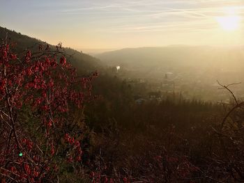 Scenic view of field against sky at sunset