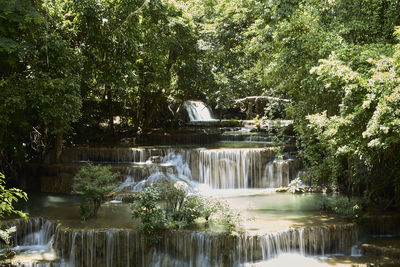 Scenic view of waterfall in forest