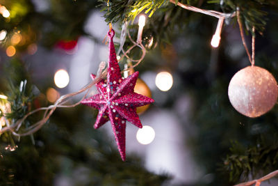 Close-up of christmas tree