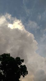 Low angle view of trees against cloudy sky