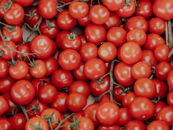 Full frame shot of tomatoes