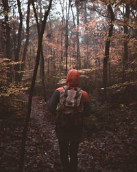 Rear view of hiker walking in forest