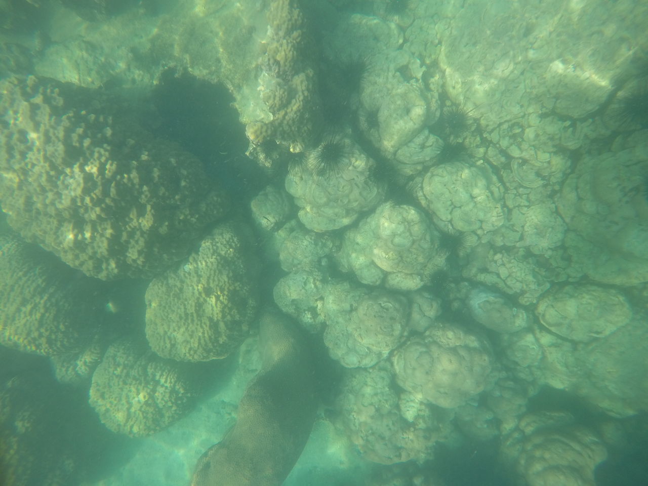 FULL FRAME SHOT OF WATER AND SEA