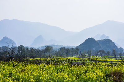 Scenic view of field against mountains