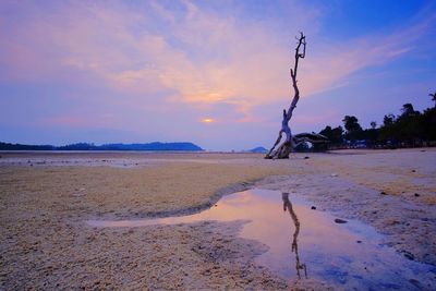 Scenic view of sea at sunset