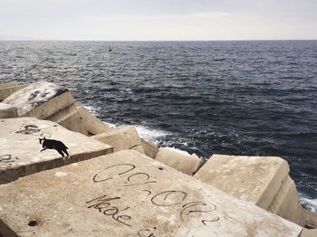 View of sea against sky