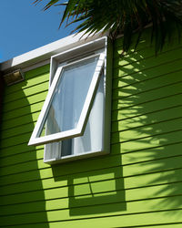 Green mobilhome window with palm trees shadows