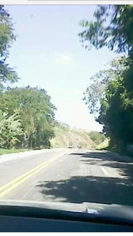 ROAD AMIDST TREES SEEN THROUGH CAR WINDSHIELD OF BUS