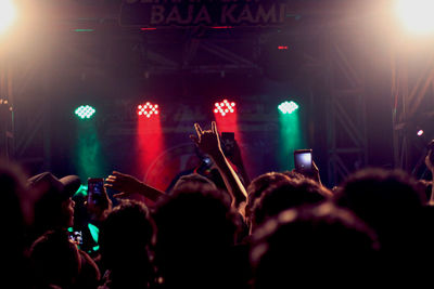 Crowd at music concert