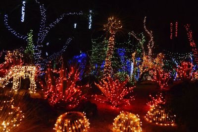 Low angle view of firework display at night