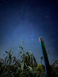 Low angle view of man standing on field against sky at night