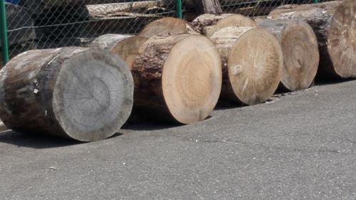 Stack of logs