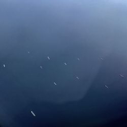 Low angle view of birds flying in sky