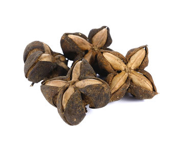 Close-up of dried leaves over white background